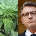 Vincent Peillon souhaite la légalisation du cannabis