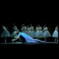 Un peu de beauté dans un monde de brutes : Mikhail Baryshnikov & Natalia Makarova « Giselle »