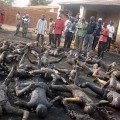 En-2012-les-pogroms-de-chrétiens-se-sont-multipliés-en-Afrique