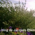 Vu des Collines