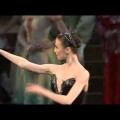 Un peu de beauté dans un monde de brutes : Svetlana Zakharova dans le cygne noir (Lac des Cygnes)