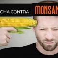 Lucha contra Monsanto, quand le Chili se rebelle contre le totalitarisme version Monsanto