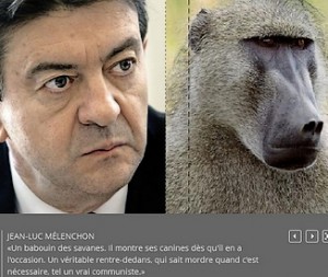 Mélenchon le babouin