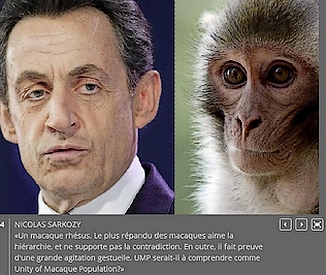 Sarkozy le macaque