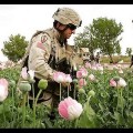 D’opium Brut : l’Implication des USA dans l’explosion du trafic d’héroine – Documentaire (2013)