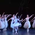 Un peu de beauté dans un monde de brutes : Marianela Nunez dans le pas de deux du Cygne Blanc, IIème acte du Lac des cygnes (Royal Opera House, 2009)