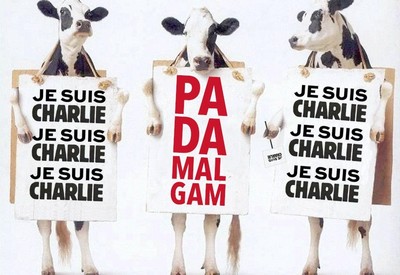 Les veaux sont bien gardés...