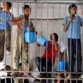 Des enfants palestiniens en cage pour jets de pierre... la justice coloniale israélienne dans ses oeuvres