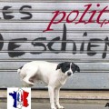 Les politideschiens sont lachés !