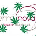 Terra Nova et le cannabis, ou la légalisation de la drogue pour noyer dans la fumette le dramatique bilan de la Hollandie en matière de drogue