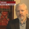 assange