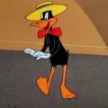 daffy